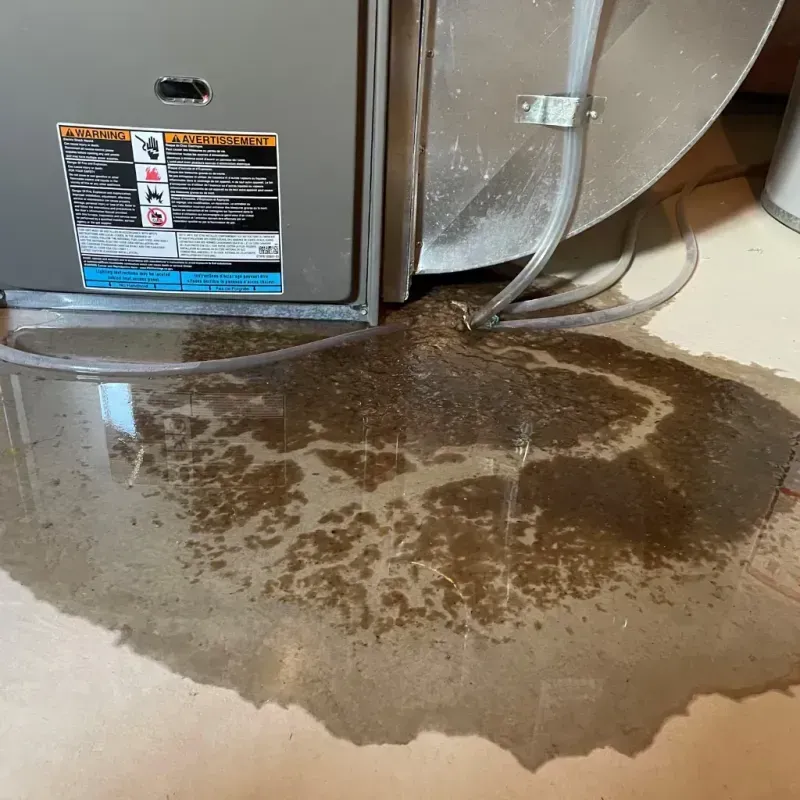 Appliance Leak Cleanup in Lauderdale-by-the-Sea, FL